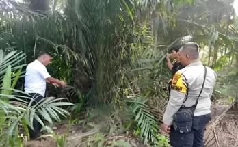 Pemerkosaan siswi SMP di siak